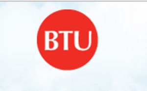 BTU International